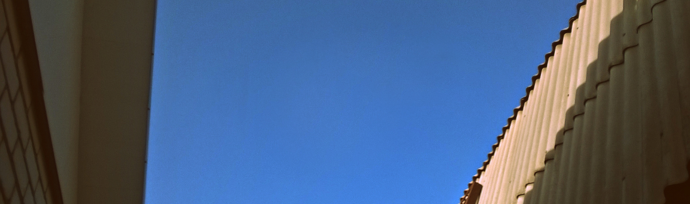 Xinhe download catalog