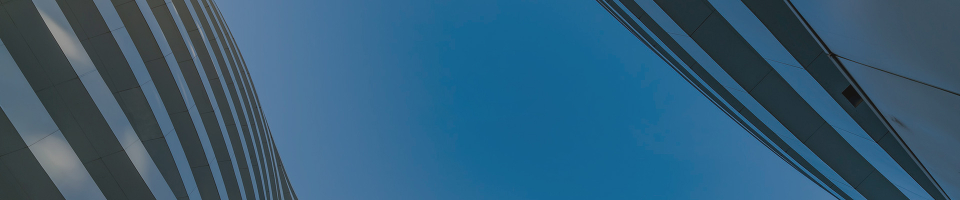 Company Profile